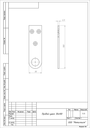 Проушина д/нав.замков Кунгур 30х100 прямая цинк d18мм пара   от интернет площадки Гурумарт