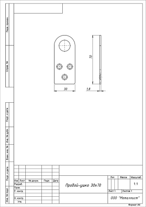 Проушина д/нав.замков Кунгур 30х70 прямая цинк d15мм пара   от интернет площадки Гурумарт