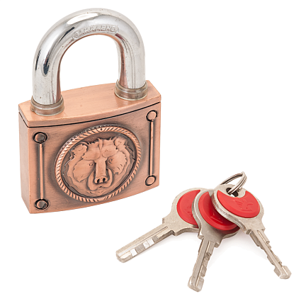 АВАНГАРД ВС2М-60 МЕДВЕДЬ Медь d11,5мм Замок навесной от интернет площадки Гурумарт