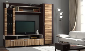Мебель для гостиной-купить недорогую мебель для гостиной в интернет-магазине Гурумарт. Цена,описание,фото.